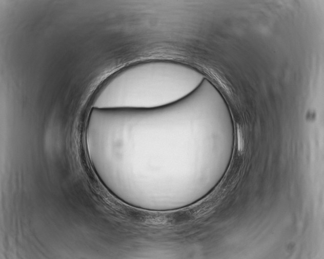 X0000100190675200805300725