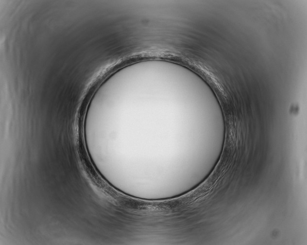X0000100190678200805300725