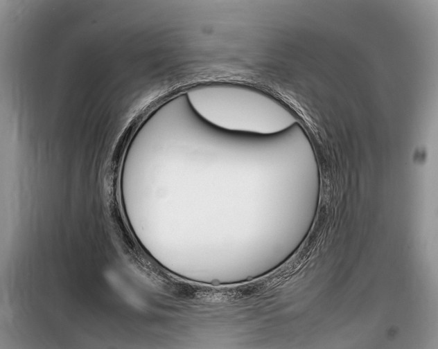 X0000100190679200805300725