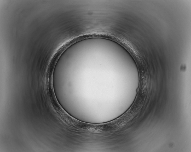 X0000100190680200805300725