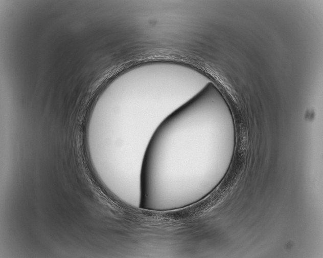 X0000100190681200805300725