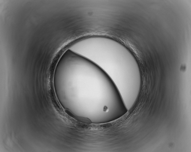 X0000100190684200805300725