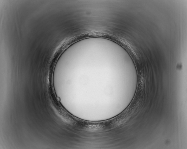 X0000100190686200805300725