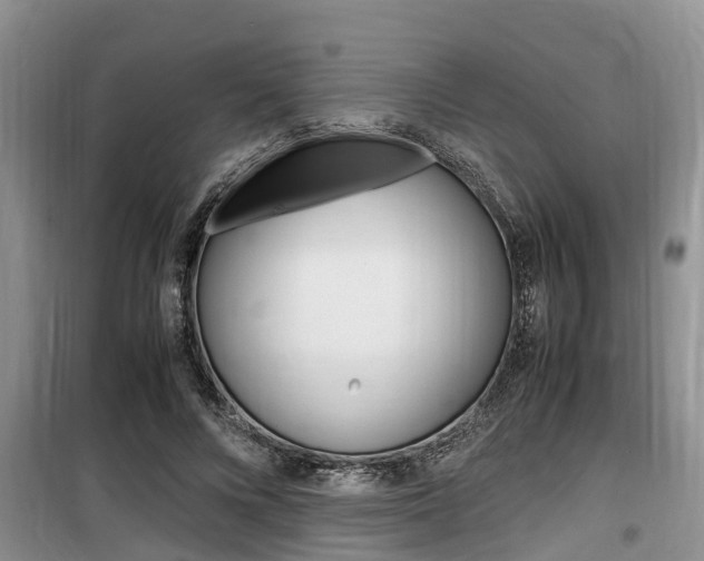 X0000100190688200805300725