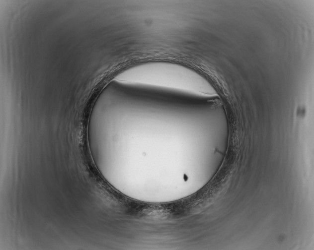 X0000100190689200805300725