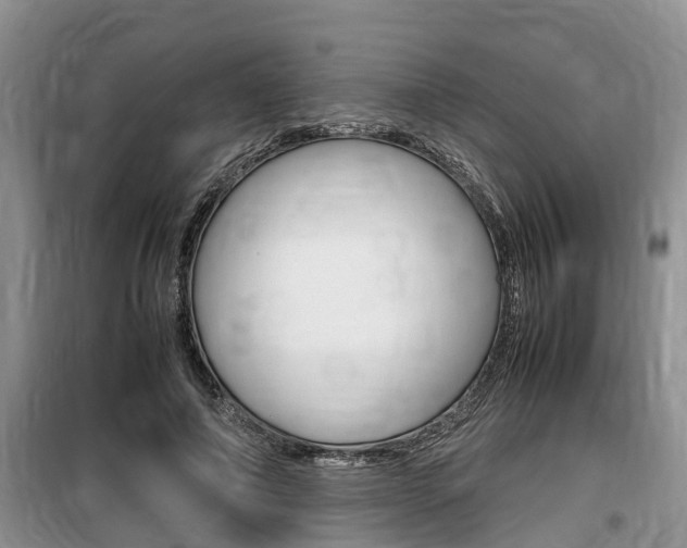 X0000100190690200805300725