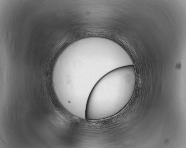 X0000100190691200805300725
