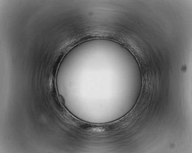 X0000100190692200805300725