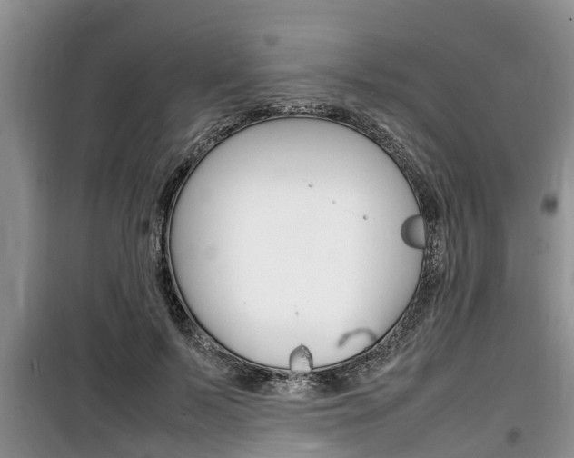 X0000100190695200805300725
