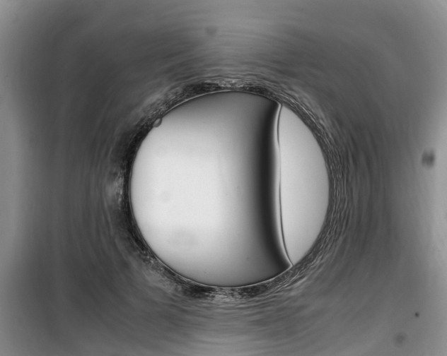 X0000100190697200805300725
