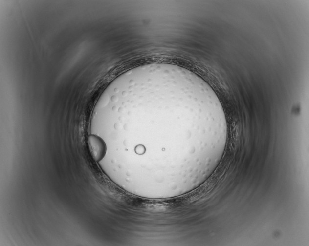 X0000100190698200805300725