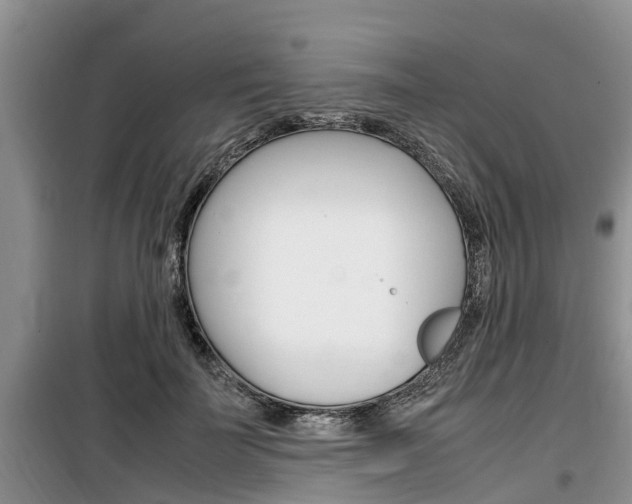 X0000100190699200805300725