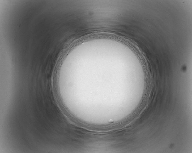 X0000100190701200805300725