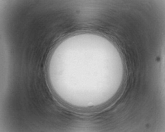 X0000100190705200805300725