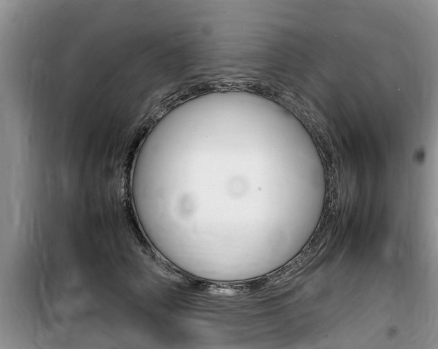 X0000100190706200805300725