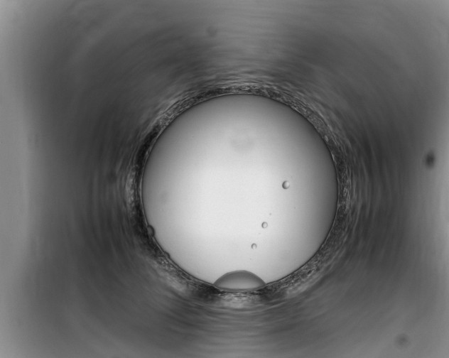 X0000100190708200805300725