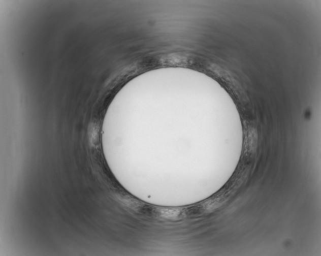 X0000100190709200805300725