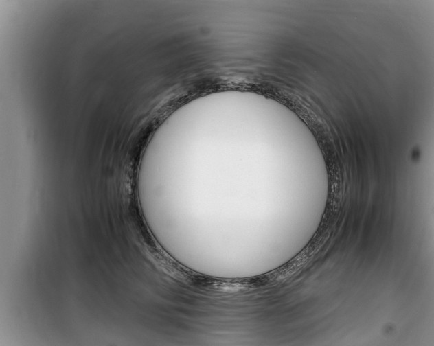 X0000100190710200805300725