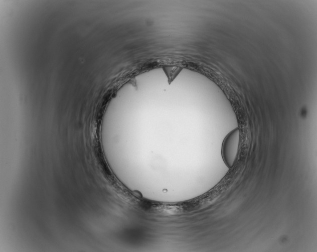 X0000100190711200805300725