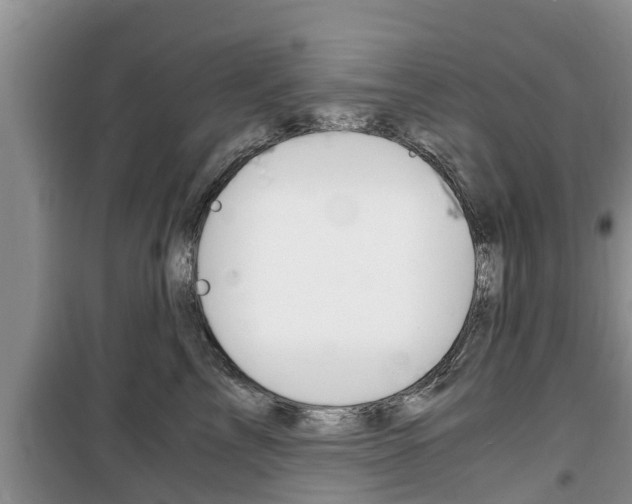 X0000100190713200805300725