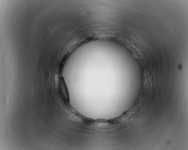 X0000100190716200805300724
