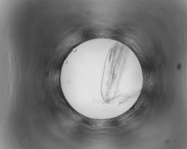X0000100190717200805300724