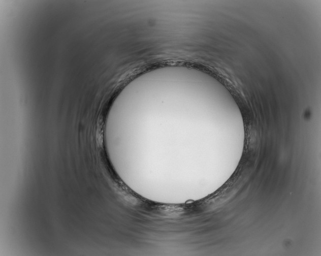 X0000100190719200805300724