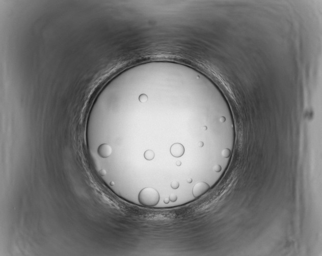 X0000100190721200805300724