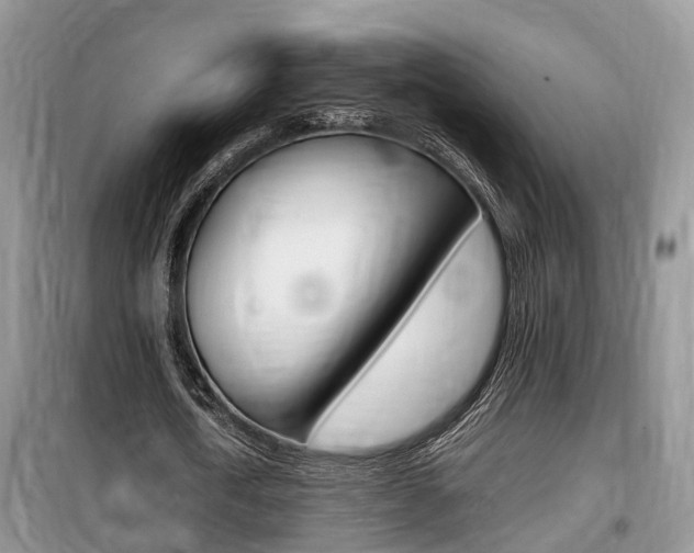 X0000100190722200805300724