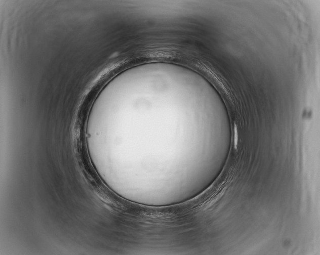 X0000100190723200805300724