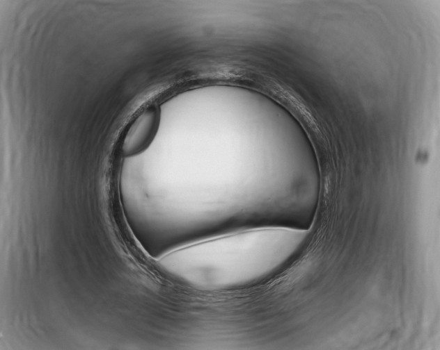 X0000100190724200805300724