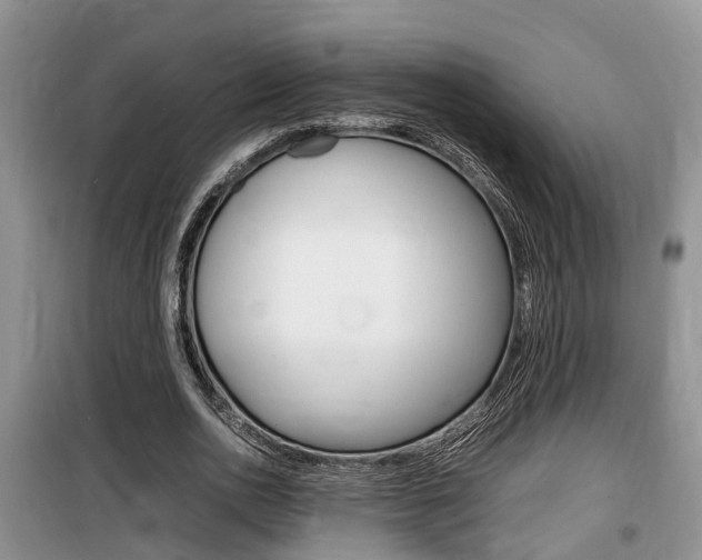 X0000100190726200805300724