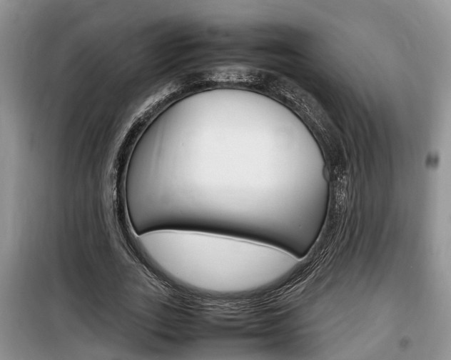 X0000100190727200805300724