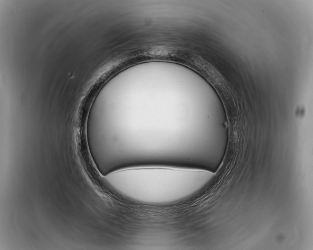 X0000100190728200805300724
