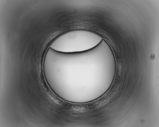 X0000100190729200805300724