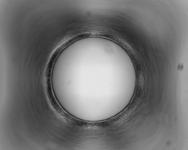 X0000100190730200805300724