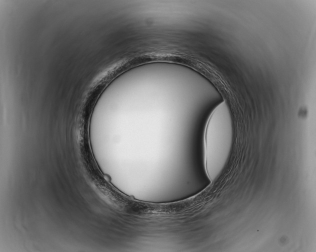 X0000100190732200805300724