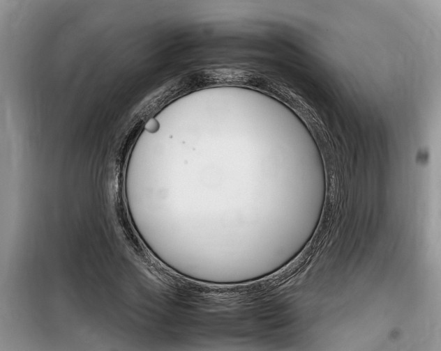 X0000100190733200805300724