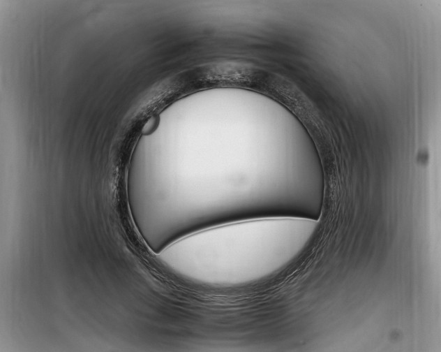 X0000100190735200805300724
