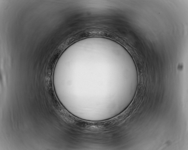 X0000100190737200805300724