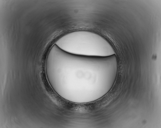 X0000100190738200805300724