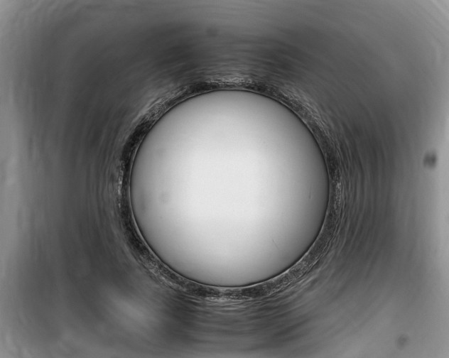X0000100190739200805300724