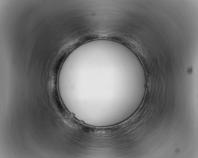 X0000100190740200805300724