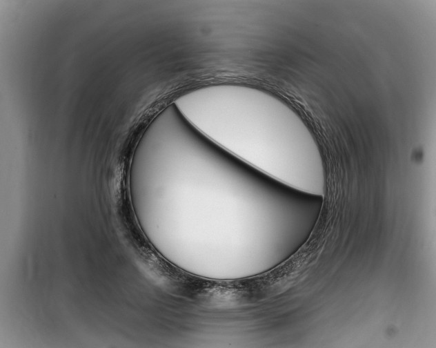 X0000100190742200805300724
