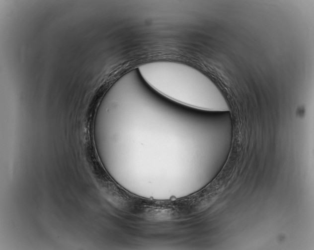 X0000100190743200805300724