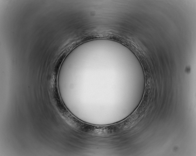 X0000100190744200805300724