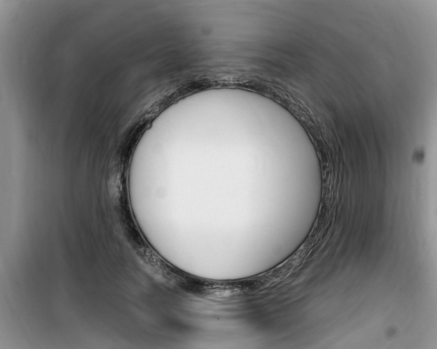 X0000100190746200805300724