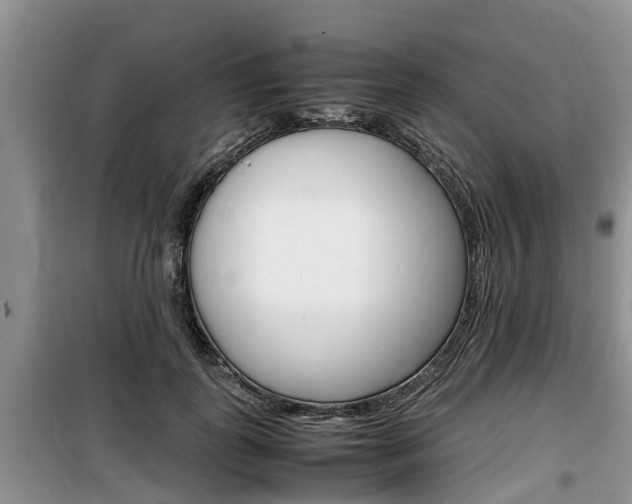 X0000100190747200805300724