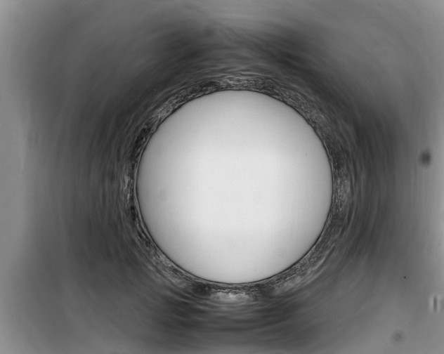 X0000100190749200805300724