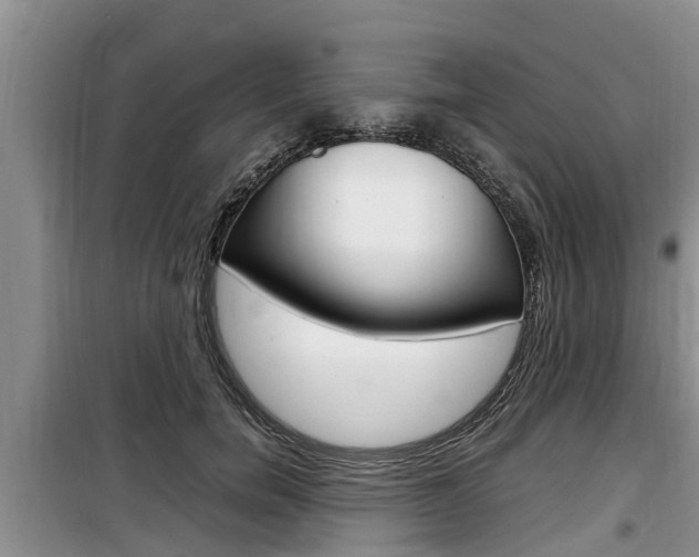 X0000100190750200805300724